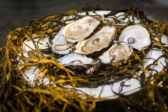 Oyster Farm and Tasting Experience - Views of the Wild Atlantic Coast, Plus Where Kylemore Abbey Fits