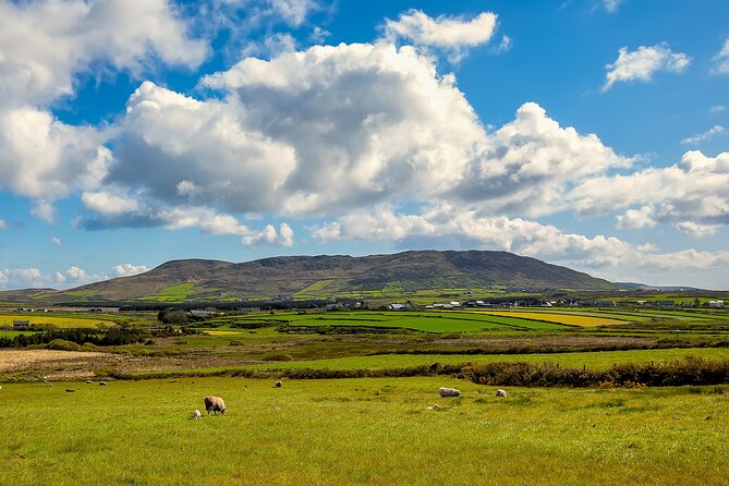 Personalized Full-Day Dingle Peninsula and Slea Head Drive Tour - Stop 3, Fairyfort: ancient stone circles plus sheep feeding fun