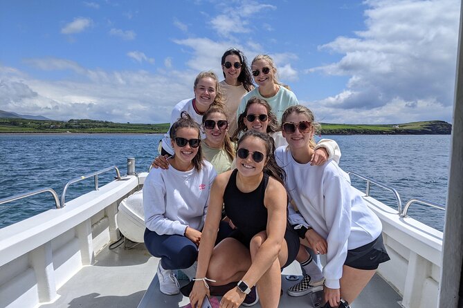Private 1-Hour Guided Boat Tour in Dingle Peninsula - Who this private boat tour is best for