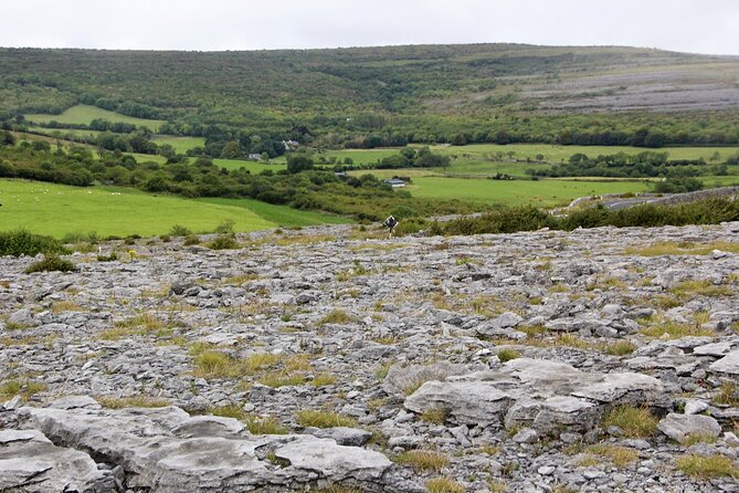 Private Burren and Cliffs of Moher Full Day Tour - Cliffs of Moher Visitors Centre: how to use your time well