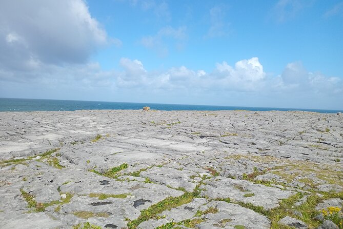 Private Day Tour Cliffs of Moher from Dublin - Group size, comfort, and pickup flexibility in Dublin