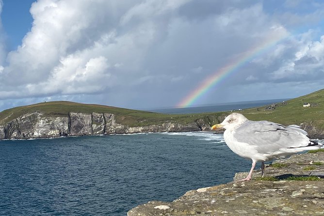 Private Dingle and Slea Head - Value and Price: What $814.49 Gets You (Per Group)