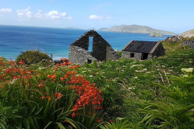 Private Dingle Peninsula Full-Day Tour - Dingle Peninsula Private Tour, Hotel Pickup, and a 7-Hour Rhythm