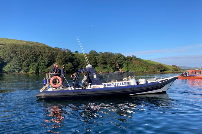 Private family sea safari - Captain Jimmy and why a private boat ride is worth the money
