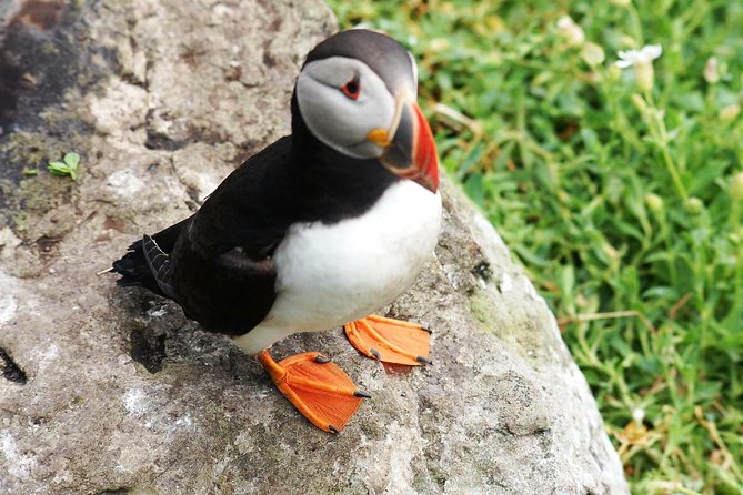 Private Full Day Tour From Killarney - Ring of Kerry/Skellig - A private Kerry day that you steer from Killarney (9:30 start)