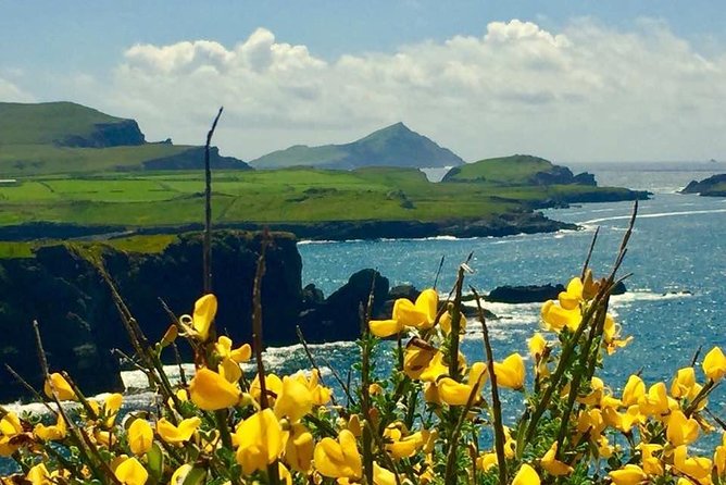 Private Full Day Tour From Killarney - Ring of Kerry/Skellig - Ring of Kerry and Wild Atlantic Way: how the day stays flexible