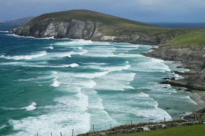 Private Full-Day Tour to Dingle and Slea Head - Conor Pass viewpoints, Blennerville Windmill, and Ballyseedy coffee
