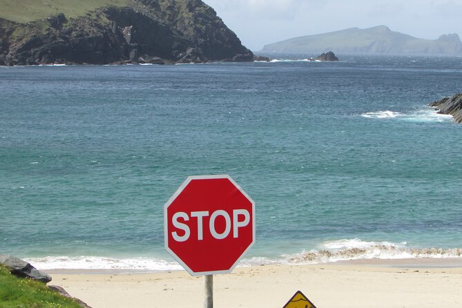 Private Full-Day Tour to Dingle and Slea Head - Price and logistics: when $975.33 per group feels fair