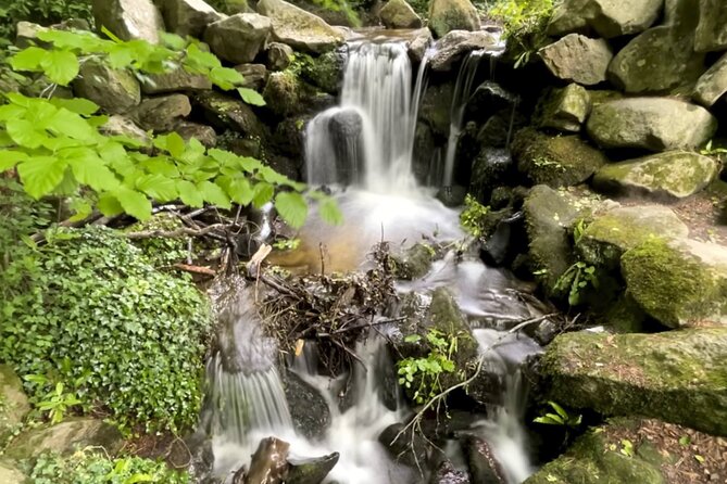 Private Garden of Ireland Wicklow Tour from Dublin - Key things to know before you go