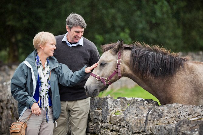 Private Half Day Tour To Connemara - Why This Connemara Half Day Works So Well From Galway