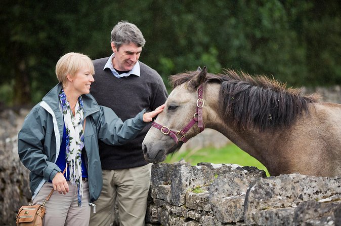 Private Half Day Tour To Connemara - Sky Road: Clifden Bay Views and the Twelve Bens Backdrop