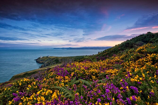 Private Howth Coastal Walk - Optional Howth Castle, from the 1300s to the Blind Lord tale
