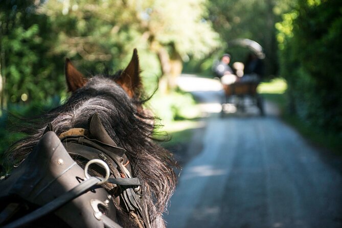 Private Jaunting Tour and Afternoon Tea in Killarney - Afternoon tea at the Great Southern Hotel, the calm finish