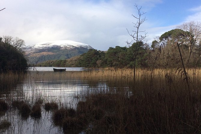 Private Killarney Tour - Muckross House, gardens, and traditional farms