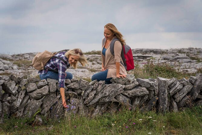 Private Limousine hire Cliffs of Moher Day Tour - Corcomroe Abbey Near the Burren: A Quiet 11th-Century Pause
