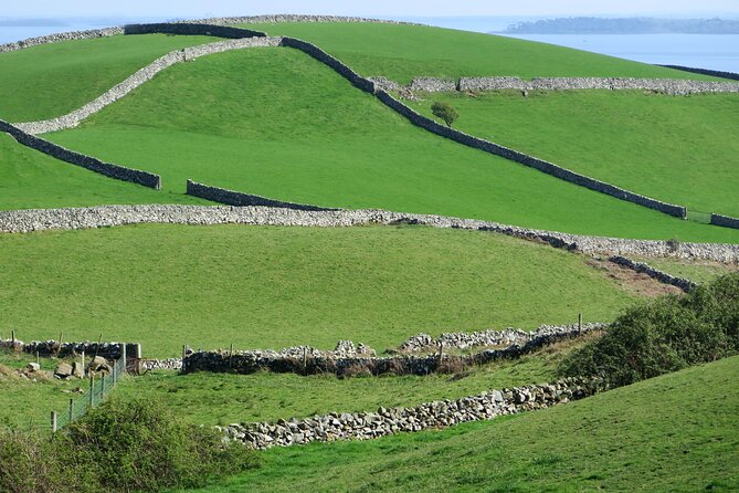 Private Luxury Tour of Newgrange and The Hill of Tara - Four Knocks as a smart backup plan