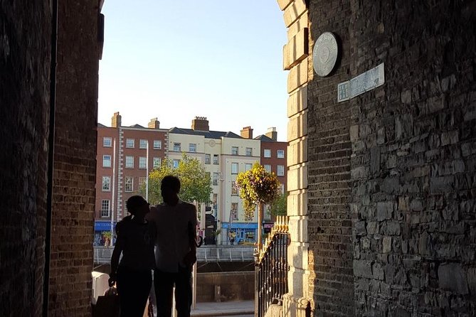 Private (Nearly!) All of Dublin in 5 hours (Walking Tour) - Starting Near the National Museum, Then Heading Straight for Trinity