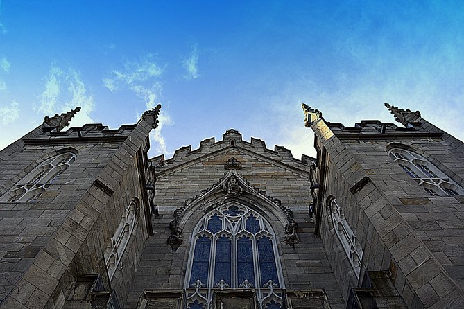 Private (Nearly!) All of Dublin in 5 hours (Walking Tour) - Christ Church Cathedral Exterior Stops, Plus a Wild Crypt Detail