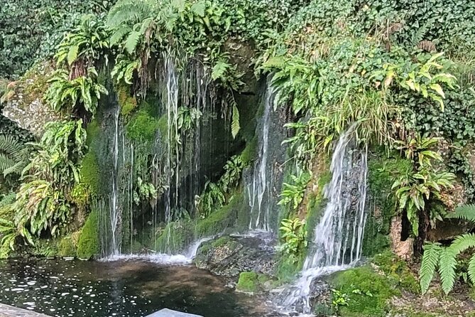 Private Tour Blarney Kinsale & Cobh Awarded Badge of Excellence - Blarney Castle and Gardens: early admission, big gardens, and the €22 reality