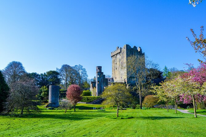 Private Tour: Classic Cork Tour visiting Blarney Castle & Kinsale - Key points I’d plan around