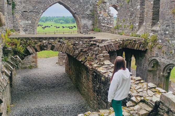 Private Tour from Dublin: Hill of Tara Trim Castle, Celtic sites - A private day that neatly stitches Tara, Normans, and monks
