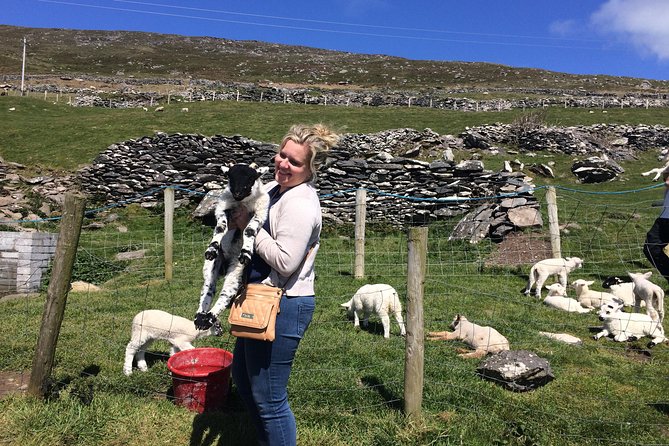 Private tour of Dingle and Slea Head with accredited guide - Blasket Centre and Dunquin Pier for island stories by the water