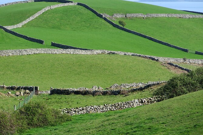 Private Tour of Newgrange and The Hill of Tara - How County Meath flexibility turns the schedule into your day