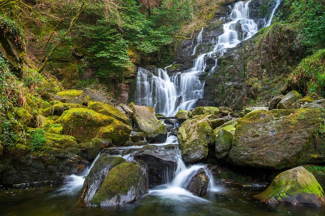 Private Tour: Ring of Kerry from Sneem and Parknasilla. - A private tour that stays flexible