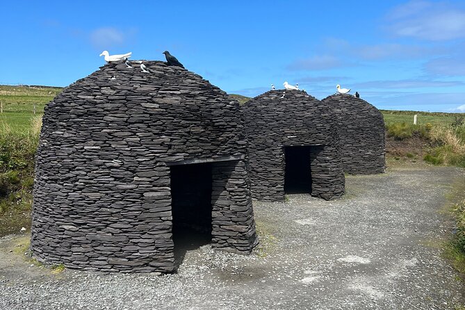 Private Tour: Ring of Kerry from Sneem and Parknasilla. - Should you book this Ring of Kerry private tour?