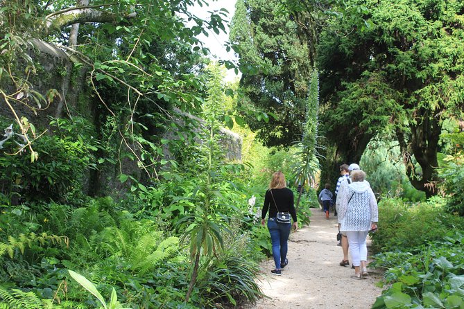 Private Wicklow Mountains Day Tour - Dalkey Island and the South Dublin Coast Drive