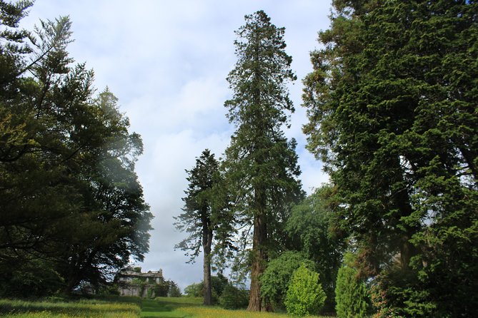 Private Wicklow Mountains Day Tour - Powerscourt House and Gardens, Avoca Coffee, and Irish Shopping