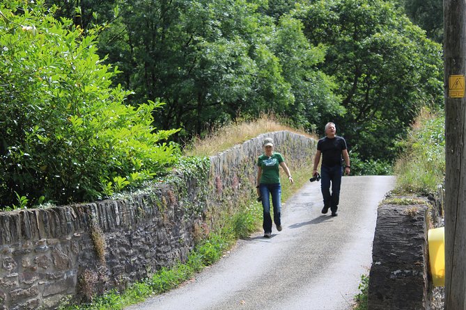 Private Wicklow Mountains Day Tour - National Botanic Gardens, Kilmacurragh, on the Return Route