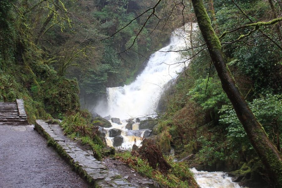 Private Wild Atlantic Day Tour from Cork - Price and Value: When $670 Makes Sense (and When It Doesn’t)