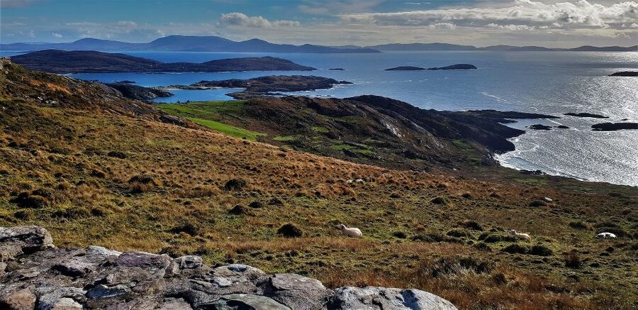 Rail Tour from Dublin: The Ring of Kerry - Coach time, photo stops, and dealing with crowds