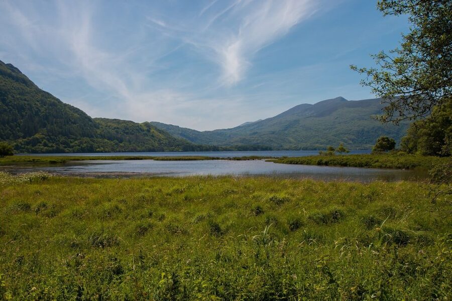 Rail Tour from Dublin: The Ring of Kerry - Food and drinks, how to plan so you are not stuck hungry