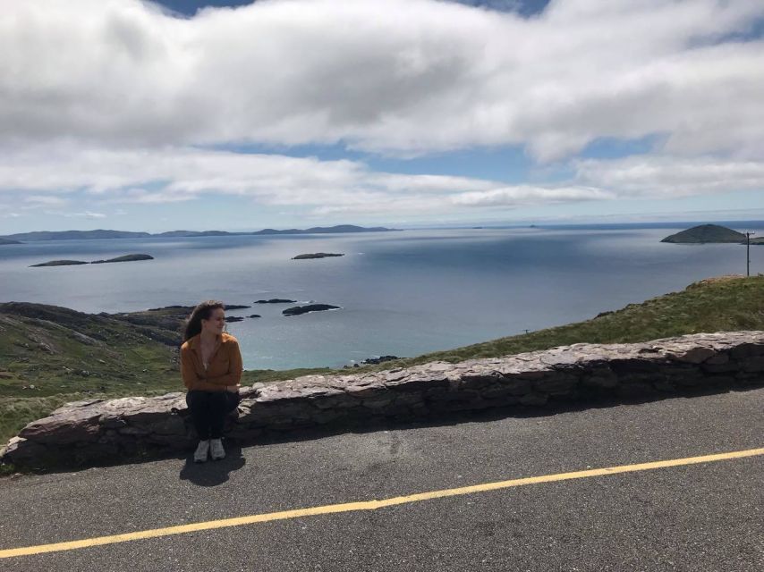 Rail Tour from Dublin: The Ring of Kerry - Accessibility and getting on the coach