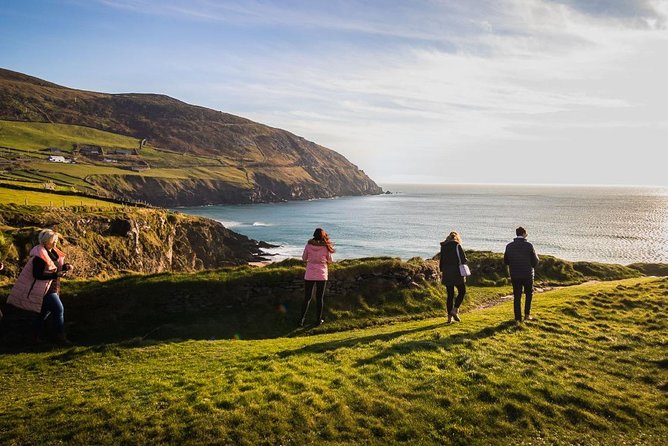Ring of Kerry Day Tour from Cork: Including Killarney National Park - Leaving Cork at 8:20, then landing in Killarney for a one-hour reset