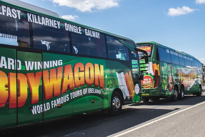 Ring of Kerry Day Tour from Cork: Including Killarney National Park - Dingle Bay, Skellig Rocks, and Inch Beach: quick stops that still feel worth it