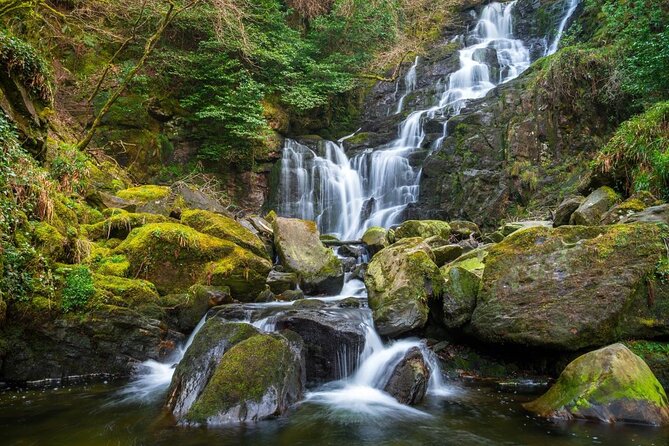 Ring of Kerry Day Tour from Killarney: Including Killarney National Park - The Big Idea: A Best-Of Ring of Kerry Day Without Car Stress