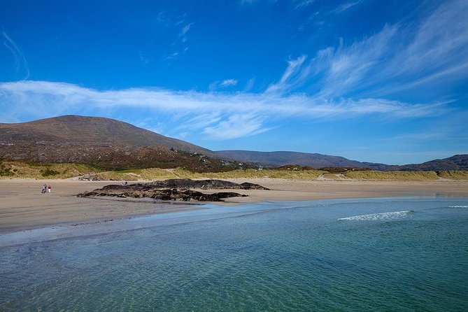 Ring of Kerry Day Tour from Limerick: Including Killarney National Park - Killarney National Park: lakes views and a short walk window