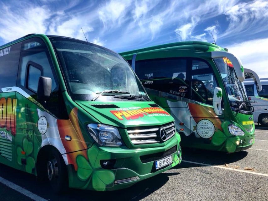 Ring of Kerry Full-Day Tour from Limerick - Killorglin and River Laune: the little legends before the big cliffs