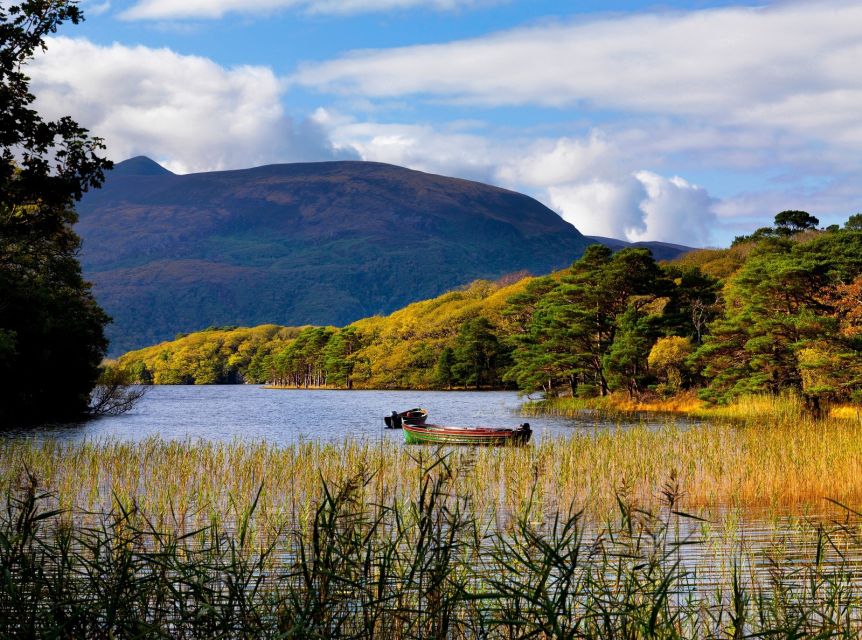 Ring of Kerry Full-Day Tour from Limerick - Killarney refreshment time, then the return to Limerick