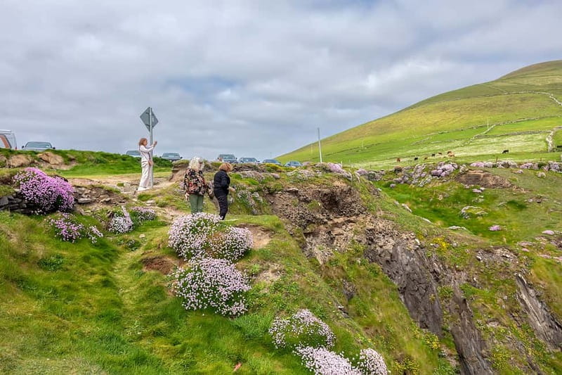 Ring of Kerry & Kerry Cliffs: Private Tour from Killarney - Kerry Cliffs (Aillte Chiarraí): The Big Ticket, Done Up Close