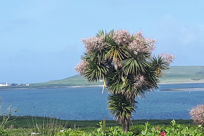 Ring of Kerry Private Tour - Key things to love about this private Ring of Kerry tour