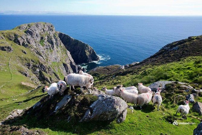 Ring of Kerry & Skellig Ring Private Day Tour - Key Highlights You’ll Feel on Day One