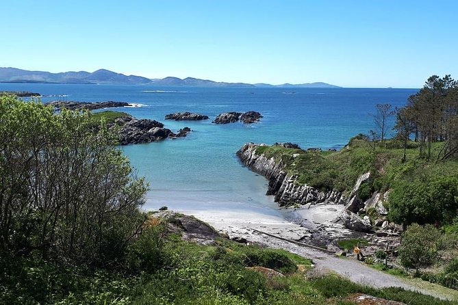 Ring of Kerry & Skellig Ring - Private Tour - Moll’s Gap, Ladies View, and Torc Waterfall, iconic hits that stay short