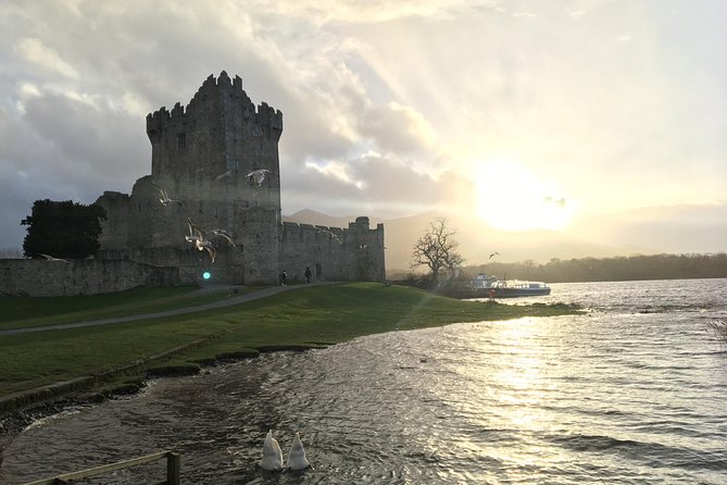 Ring of Kerry Tour Private Chauffeur Driven From Killarney - Private chauffeur value: why this Ring of Kerry feels different