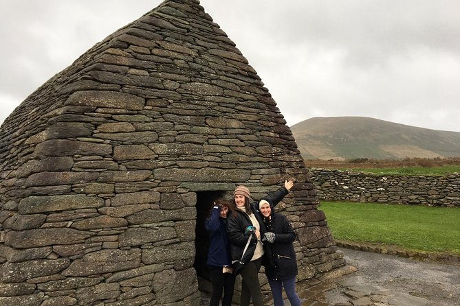 Ring of Kerry Tour Private Chauffeur Driven From Killarney - Kells Sheep Centre: Border Collies, a shepherd demo, and real teamwork