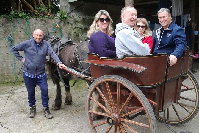 Ring of Kerry Tour Private Chauffeur Driven From Killarney - Portmagee lunch stop: fishing village energy, a real break
