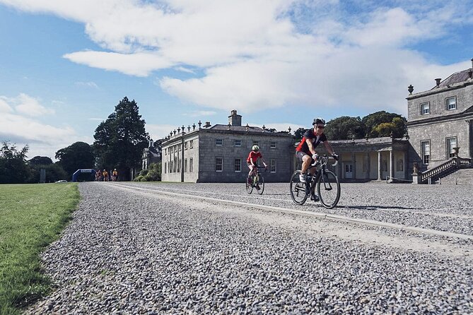 Russborough House and Parklands Admission and Tour Ticket - Birds of Prey Centre: what to know before you plan your time